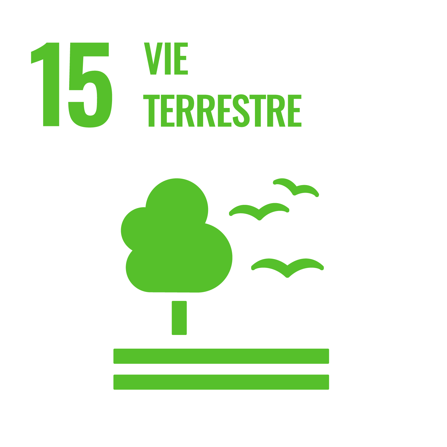 Goal1